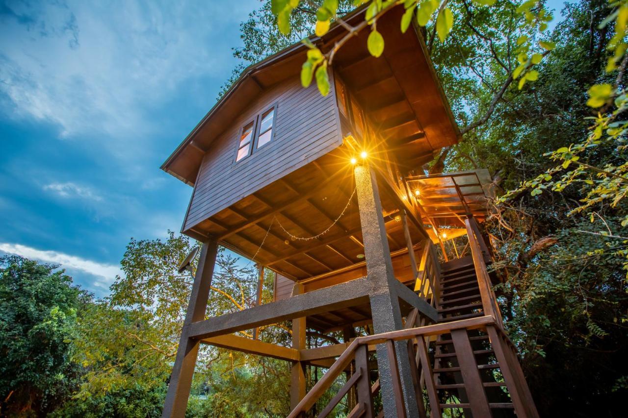 Sigiriya King'S Resort المظهر الخارجي الصورة