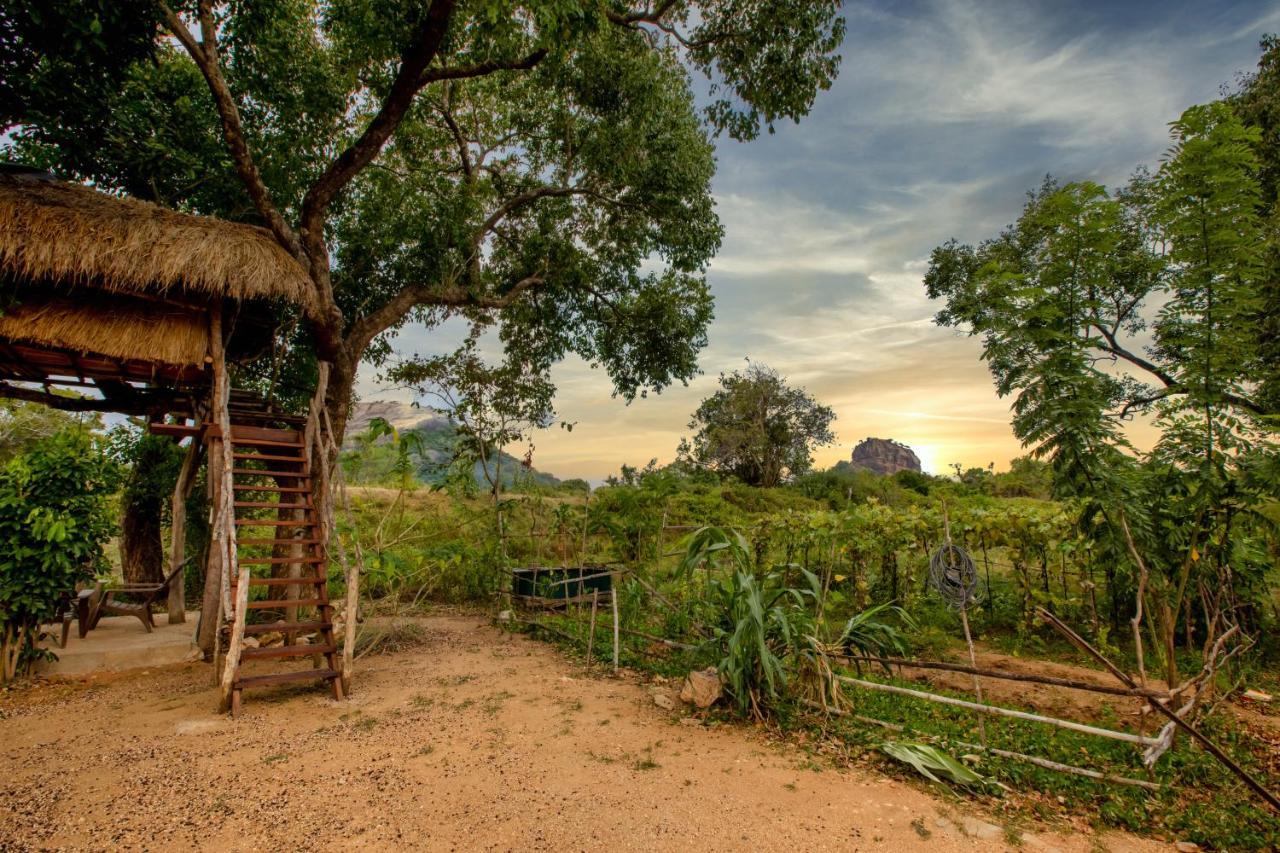 Sigiriya King'S Resort المظهر الخارجي الصورة