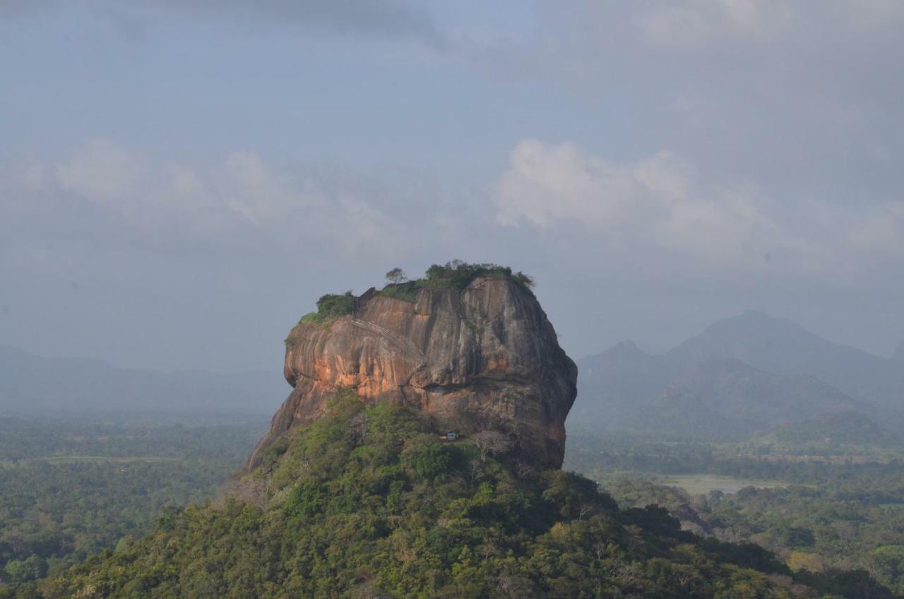 Sigiriya King'S Resort المظهر الخارجي الصورة
