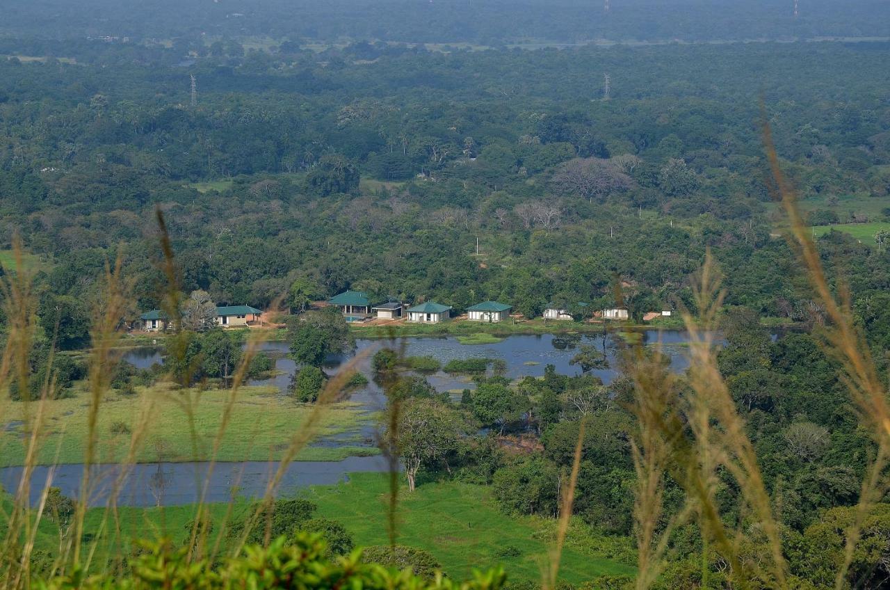 Sigiriya King'S Resort المظهر الخارجي الصورة