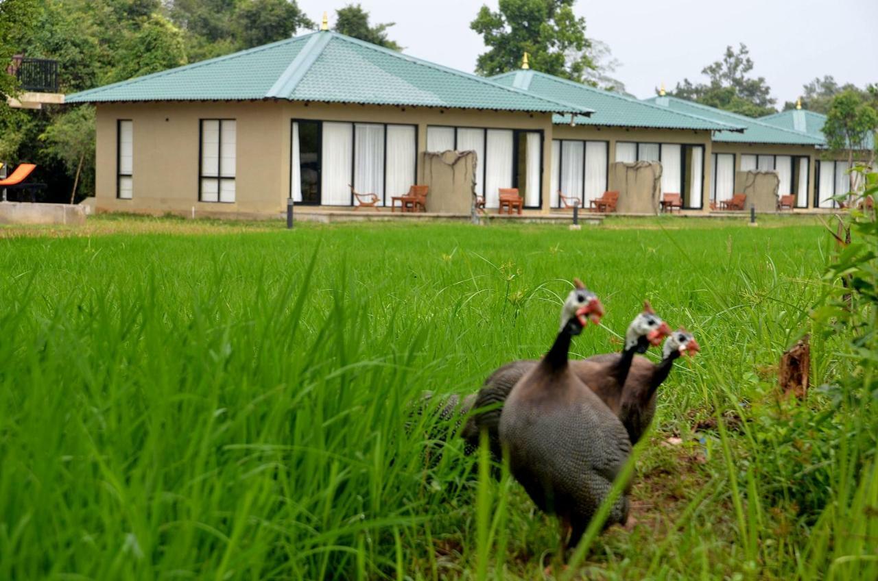 Sigiriya King'S Resort المظهر الخارجي الصورة