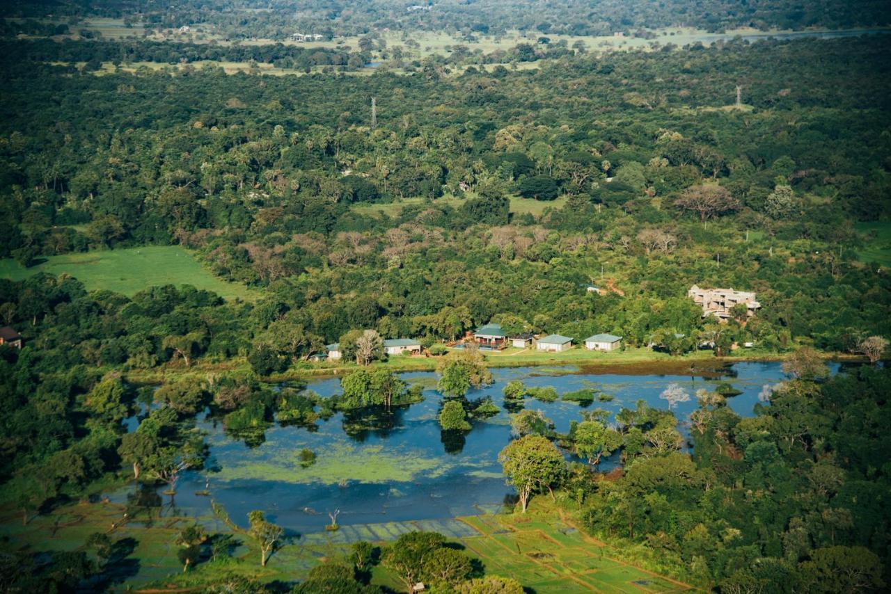 Sigiriya King'S Resort المظهر الخارجي الصورة