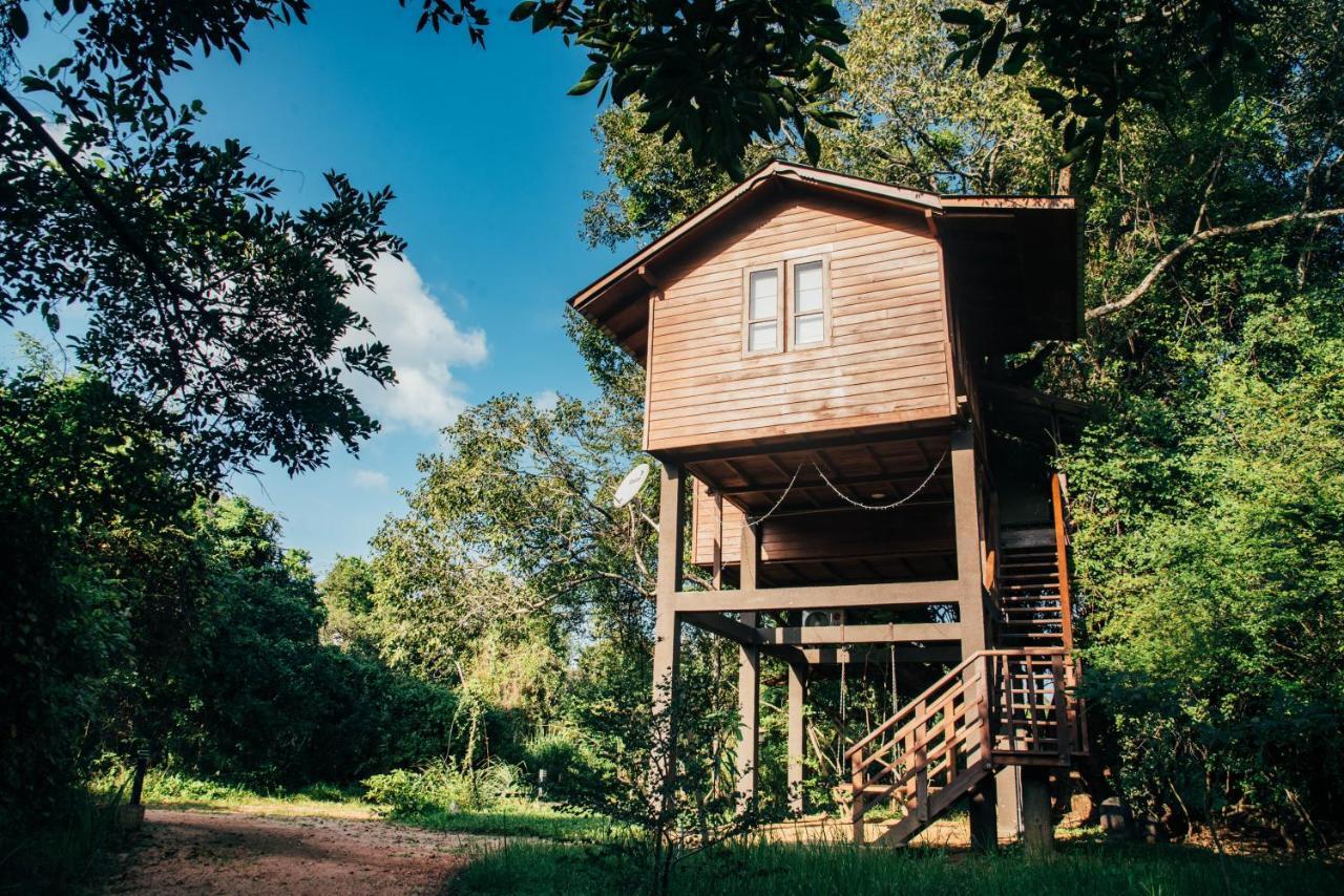 Sigiriya King'S Resort المظهر الخارجي الصورة