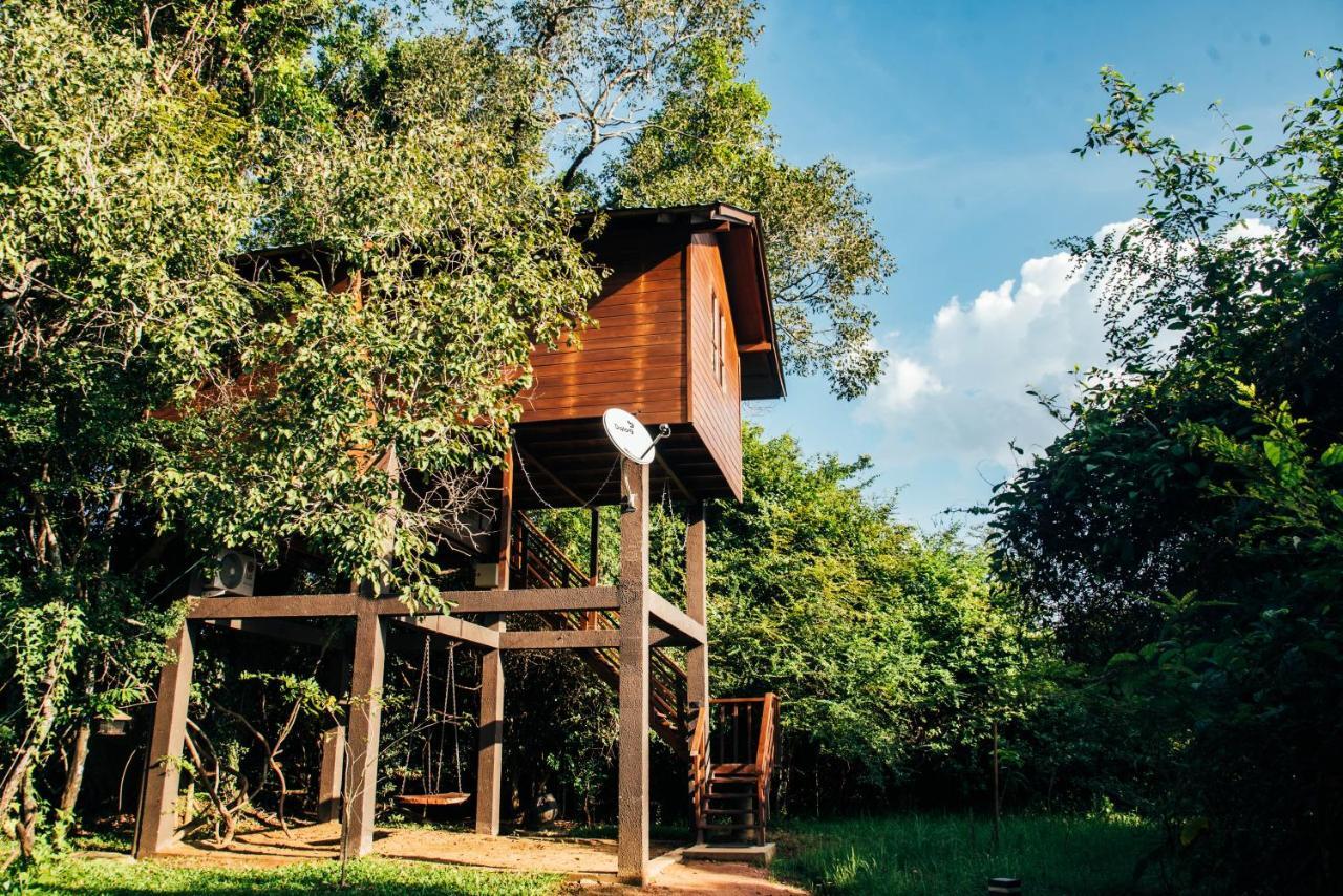 Sigiriya King'S Resort المظهر الخارجي الصورة