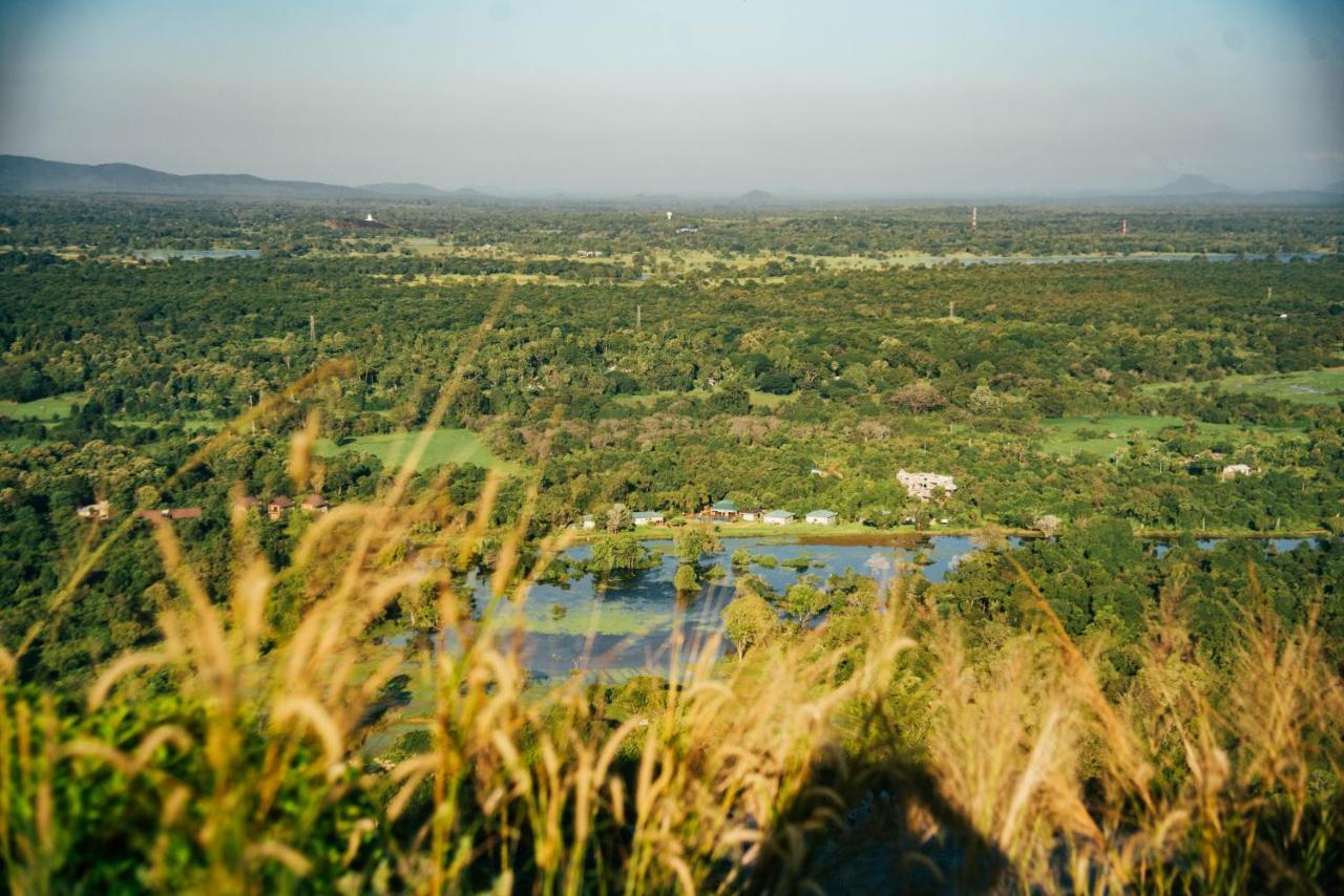 Sigiriya King'S Resort المظهر الخارجي الصورة